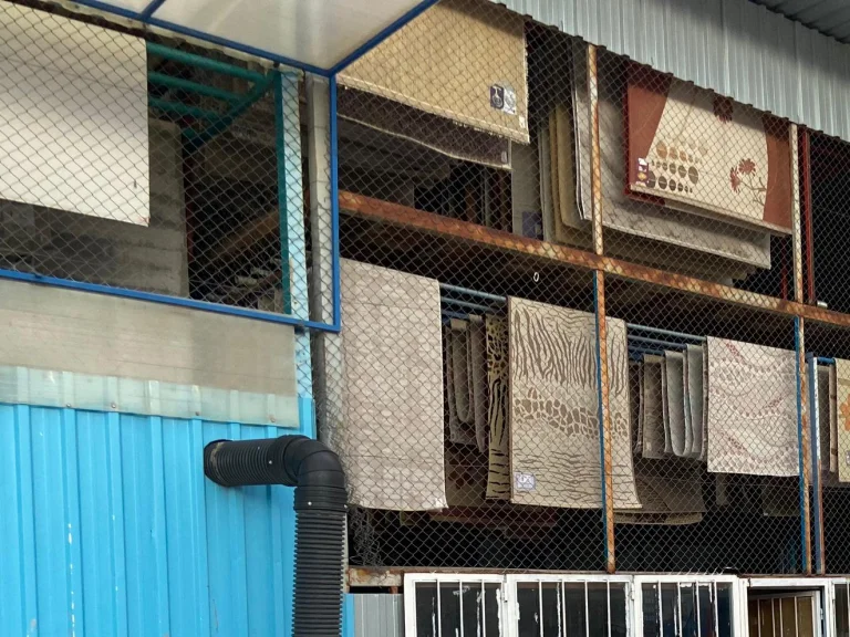 Özyurt Halı Yıkama: Profesyonel Halı Temizliği